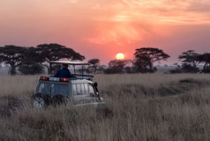 safari-vakantie